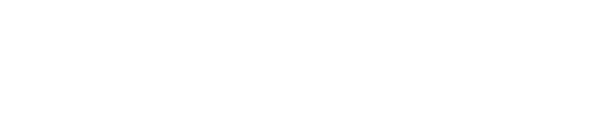 SnagRight — Inspect Before You Accept.